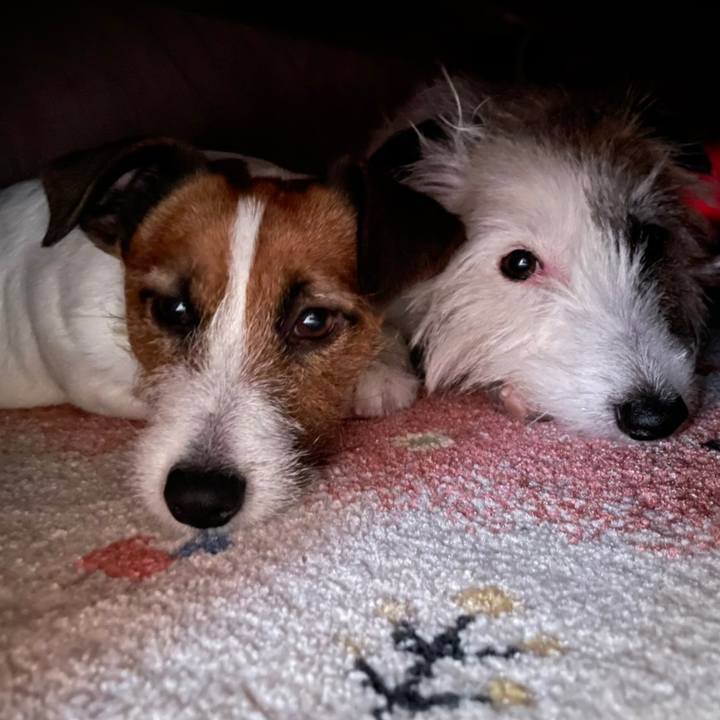 7626c89b 9625 46e5 bbc1 50c82826a717 1676762368551