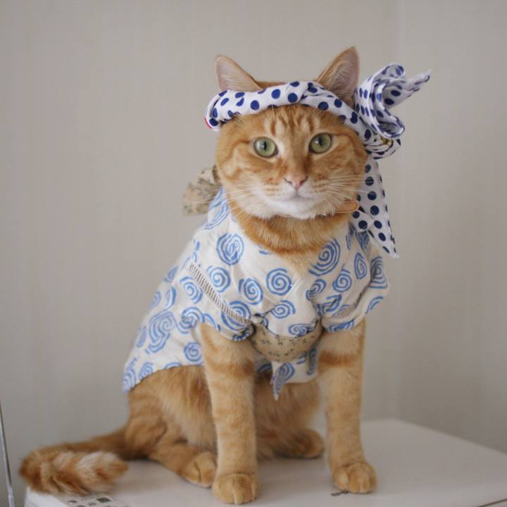 7626cda5 51e5 4d93 b3fb 3ceca870ecd1 1722046958717