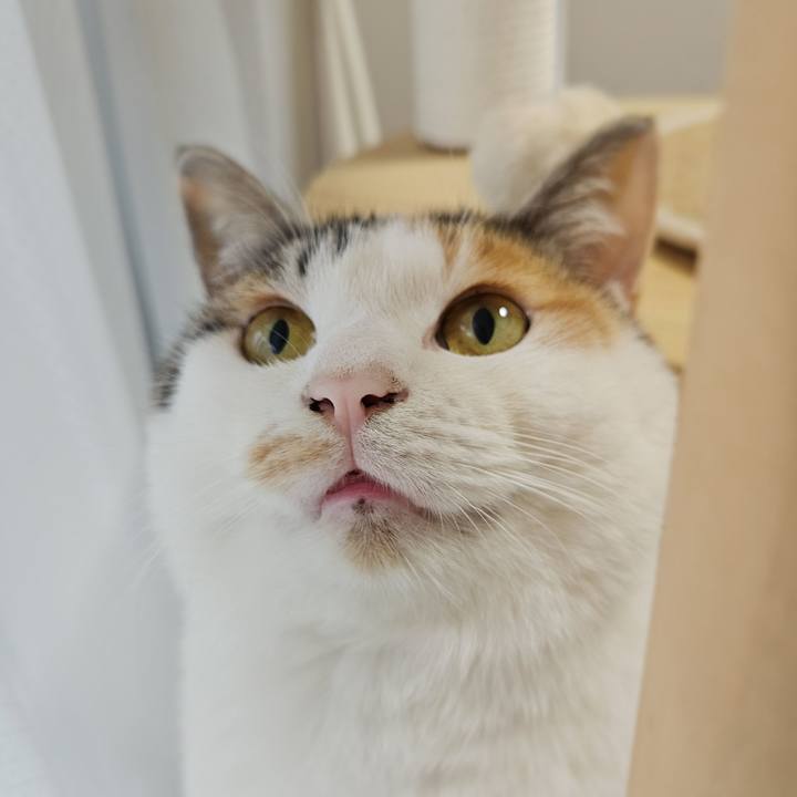 7626e53a 7c27 4d7c a123 92a01309d561 1770422972554