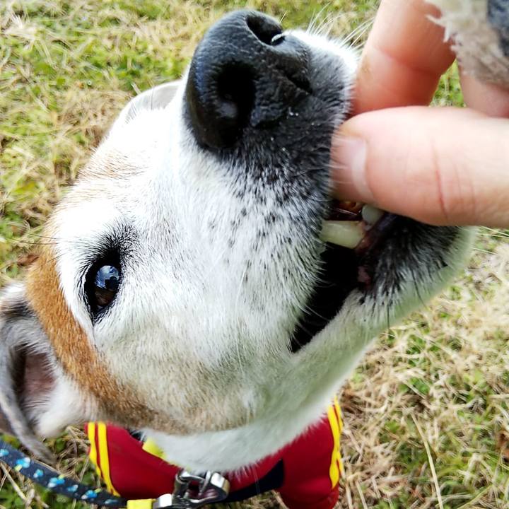 7627425f e341 4f12 ba11 6d1a2f5c5698 1546411704249