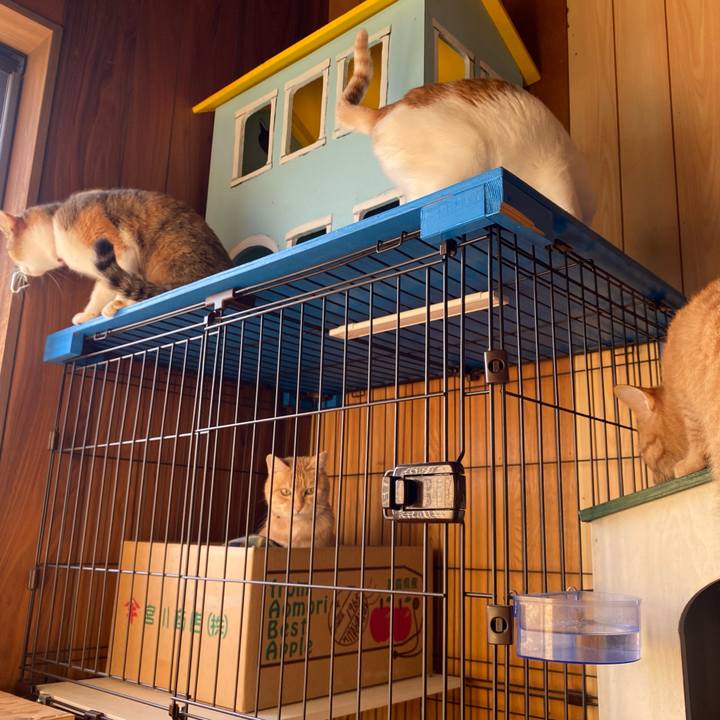 7627773e c585 452b a3f8 26592819bf00 1765085913872