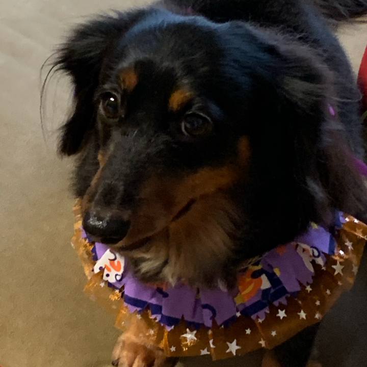 7627a400 39d2 461a 86d4 f272d2c09e1c 1633173216168