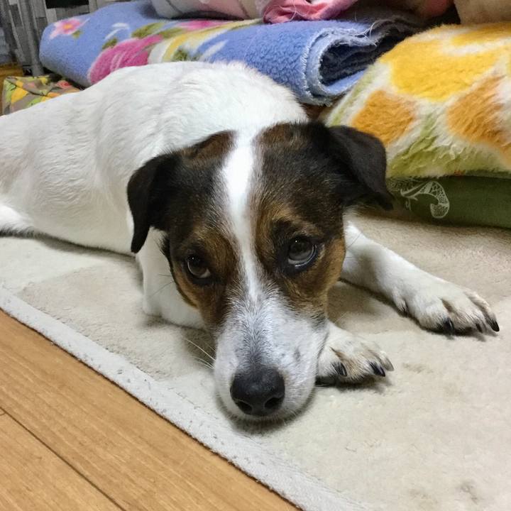 7627fad3 27b9 4ea6 a686 f928fb77412c 1554846357488