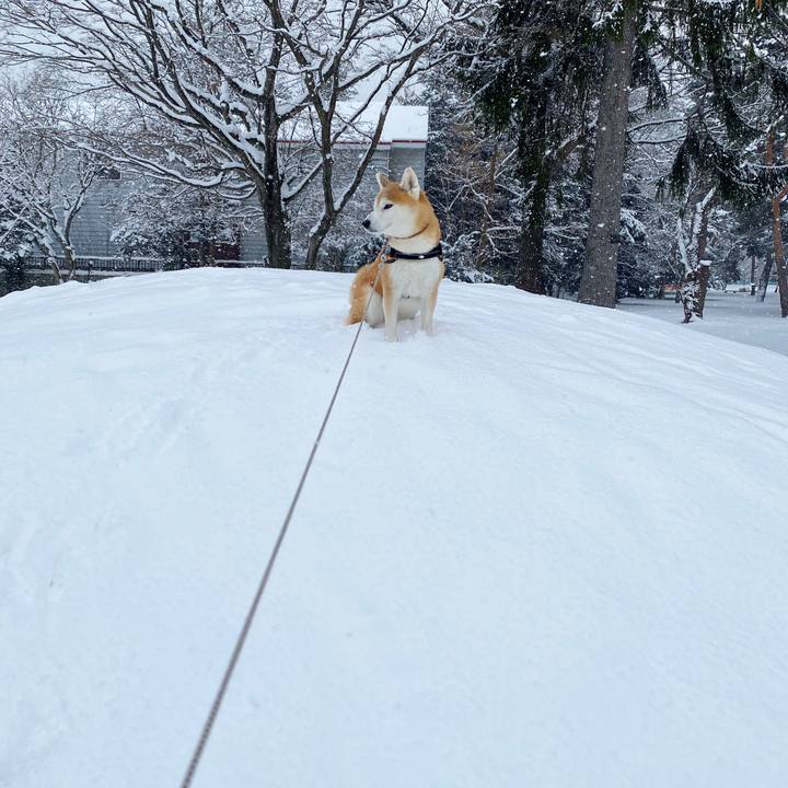 76282ef1 b6b2 4bf6 8796 e18de98bbab9 1671157401257