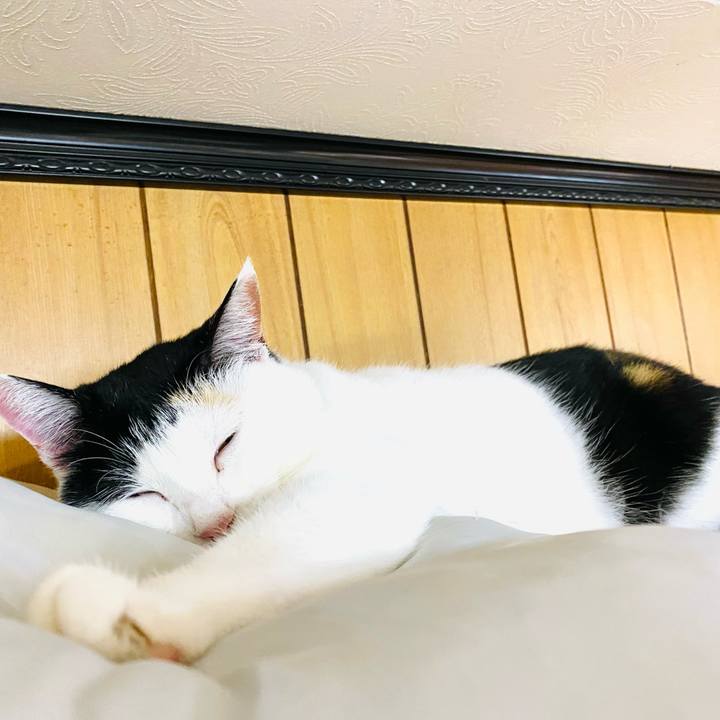 76285885 0f47 4c5f 9cd9 87f3e7e48173 1686221153107