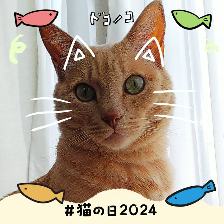 7628857f ddfe 4c78 983e 8d4666dc1b25 1708595088589