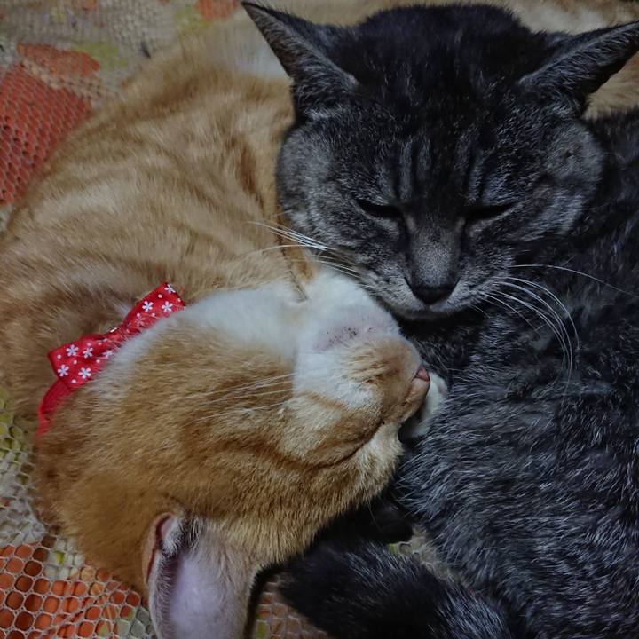 7628865d a212 474d 90e4 50f2a7f12c16 1577190017231