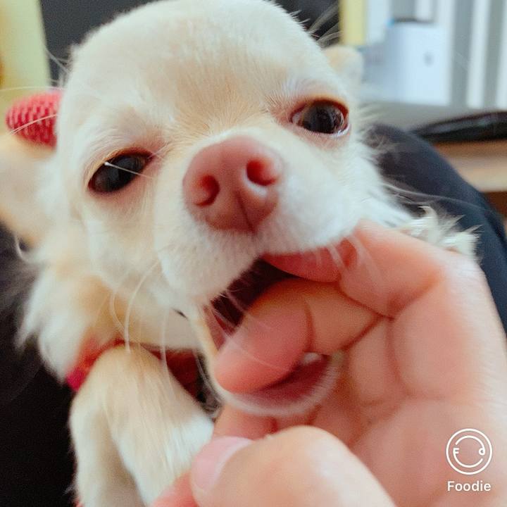 76288a7b 6994 4272 bd21 123607da824b 1609150274398