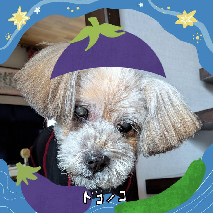 76289e2b 6223 4958 aab3 b13e2c866e31 1755129238540