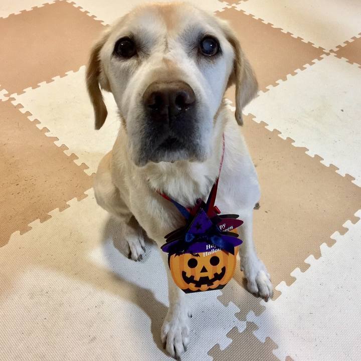 7628c607 51b9 4531 bd71 5999bb4f0077 1548741967764