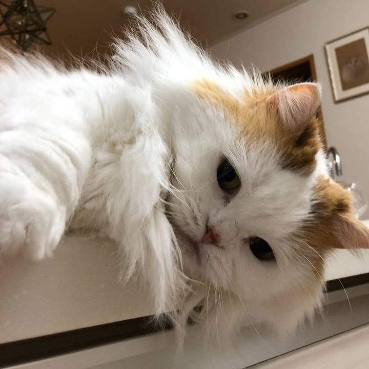 7628da27 6a74 429e 97e2 4a79f5cedb50 1766039110265