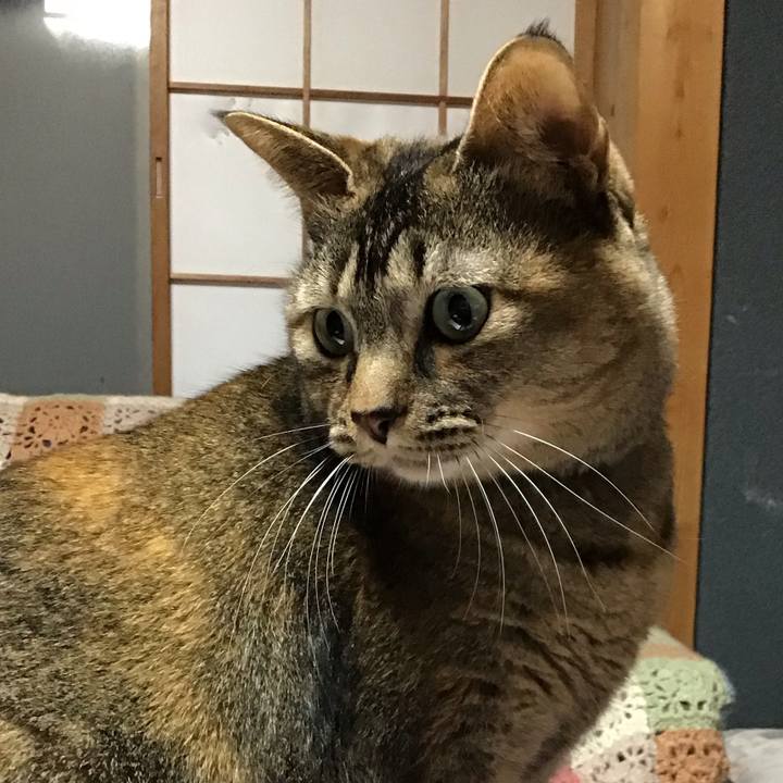 7628efba 1ff5 4238 ab7b 707f1b4c9114 1709893911800