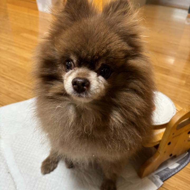 7629127c 6e83 47f4 8d3d 25fb5164cfc2 1761429439044