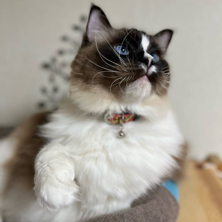 76291ef6 0933 4e45 a6f8 a19b72b8aebd 1648816407723