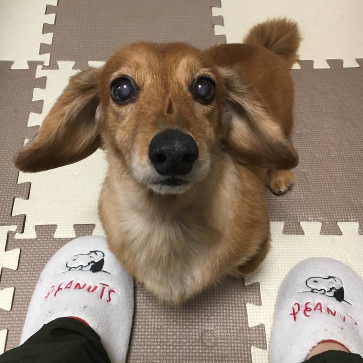 7629272e 129d 4063 9d9c 79e24ffd8dbd 1579096802686