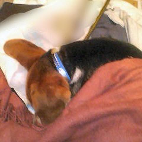 76292851 658b 487c 9a3a 0f5a71bebafc 1770515640525