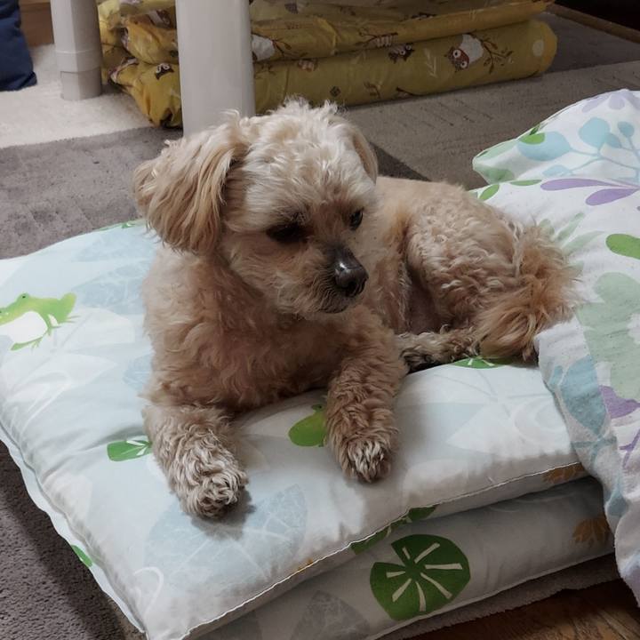 7629324b b512 4152 b23f 2d44ee9e2d30 1683771529261