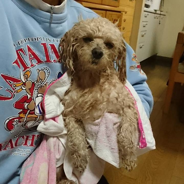 762956a9 8a13 4bca 8789 8f699f97efe0 1522496163489