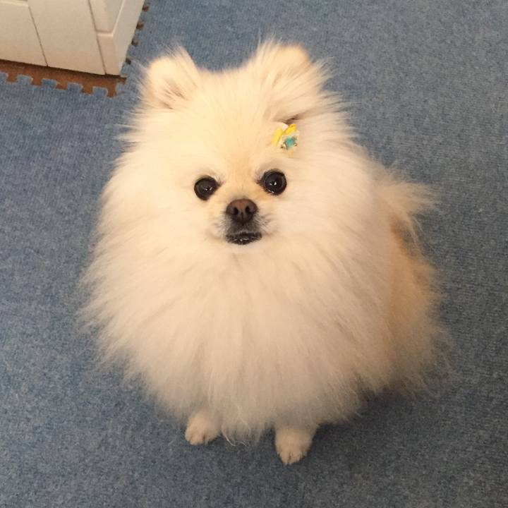 76296645 dc8f 438d 8c2d c6de4198a7fe 1589761734944