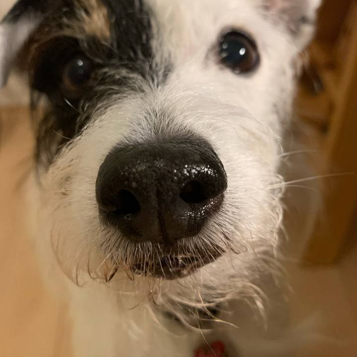 76296771 8a7a 4cd7 93df c00e405e7900 1701688980782