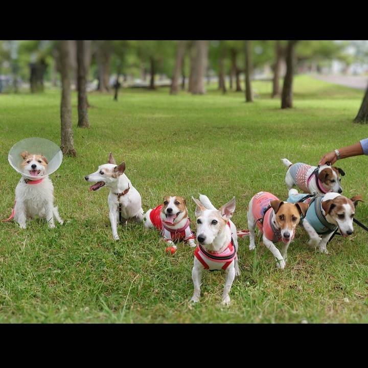 762971fe c75c 4f74 a4fa e6d8daf9b49b 1748616761986