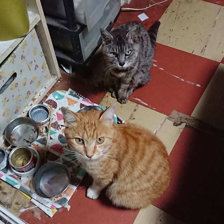 7629881d a5b6 4b85 b2e8 103a3db85c2b 1592470760362