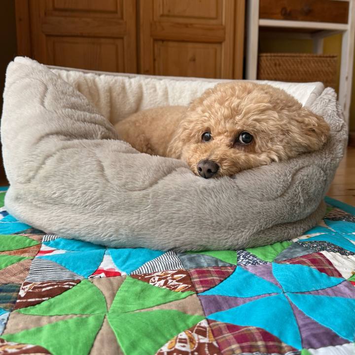 7629a556 2d5f 40e1 b810 92805dff520c 1773271728820