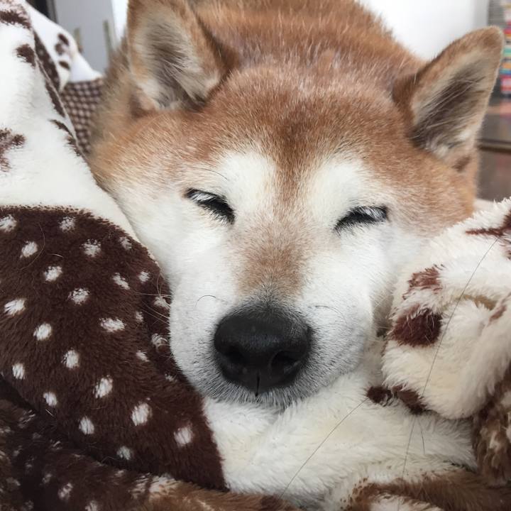 7629fc12 58f4 4221 9fc6 dc984f4f89a3 1550983450134