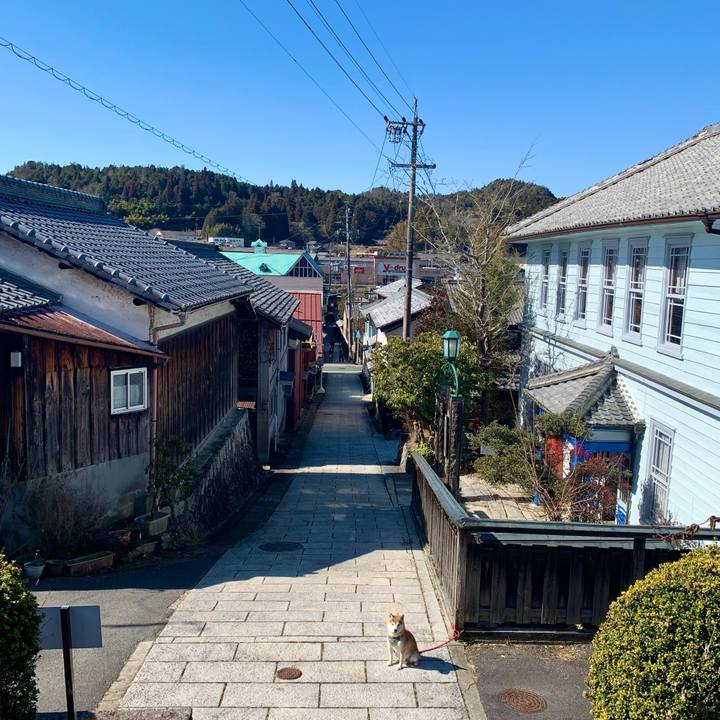 762a0c37 07df 4550 96af a630a246ab15 1676536072013