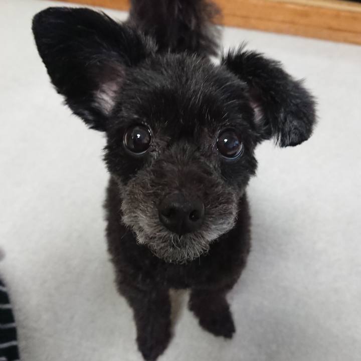 762a244a e0d8 4aec ae7c a71ec67b4cff 1530105954101