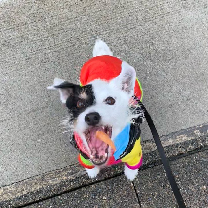 762a6eca 63f5 4d0c 90ab b395e966b9ee 1718949176454