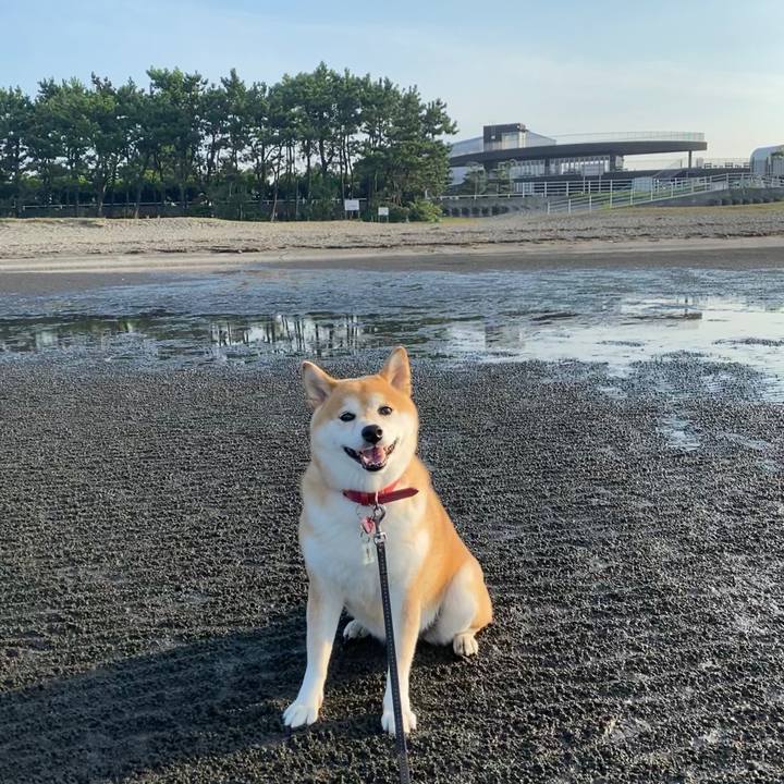 762a7c18 75d3 4762 a0e3 4bf7b8981029 1597543144353