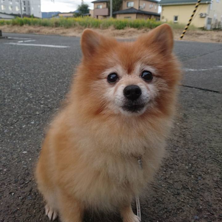 762aa4e9 6824 4fe2 ad25 b1b40c03f660 1507933331880