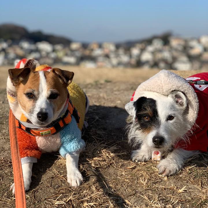 762ad117 2bcf 4f29 aa50 0b88ea85160e 1611194449806