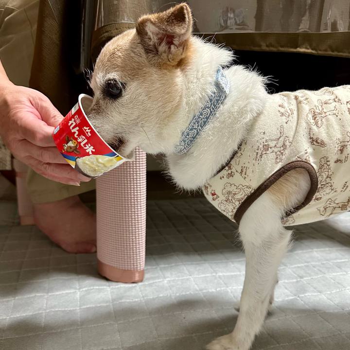 762af521 d936 47ea 95f2 1ea8a86898fb 1754219111856