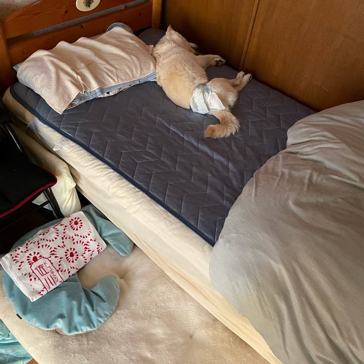 762b0cfb f45d 4810 b9a9 ba093838880a 1662947623943