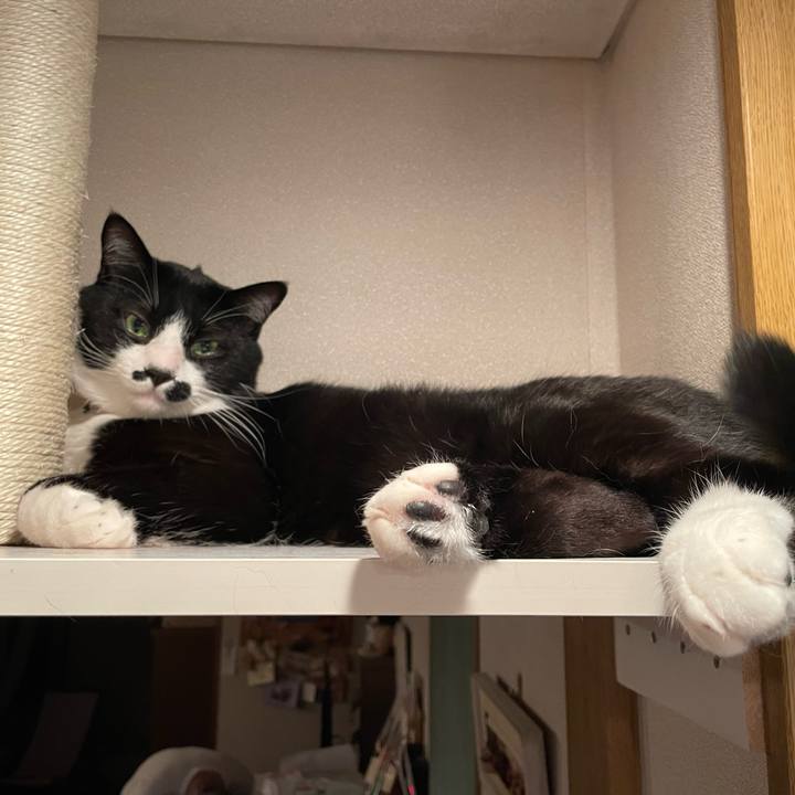 762b2a8d e1a1 42fd 945a 93f58662badd 1651244560823