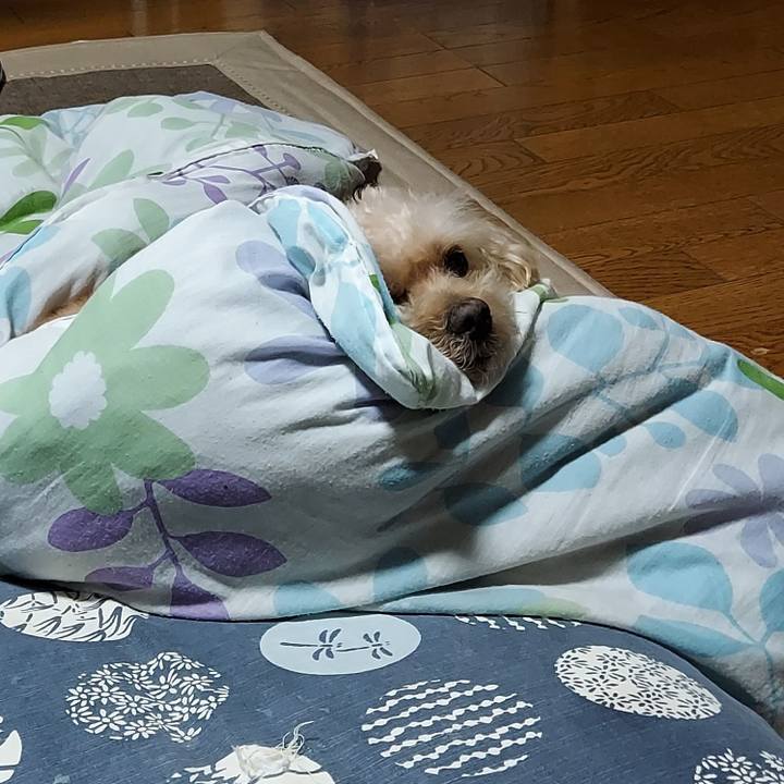 762bbf54 710f 4b3f 947a 4f53c2c88cd0 1694636314412