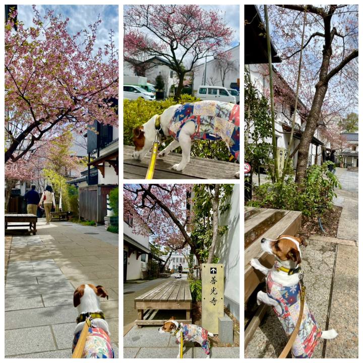 762bc389 f9c3 4454 84b8 0dff8dbc05a9 1649054005897