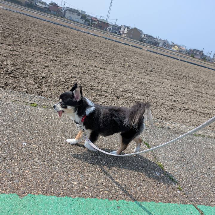 762bc3d6 b871 4376 81b8 da94aa180cb2 1774771347793