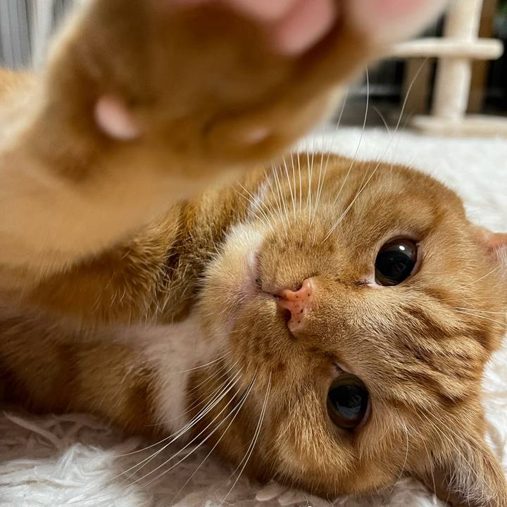 762c0755 7f31 4045 a30d 0cdf52ab8a11 1670335864585