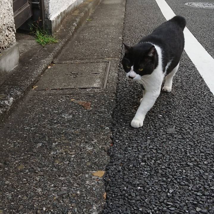 762c1428 2f99 4fb7 960c ed663c1be1d1 1598054707954