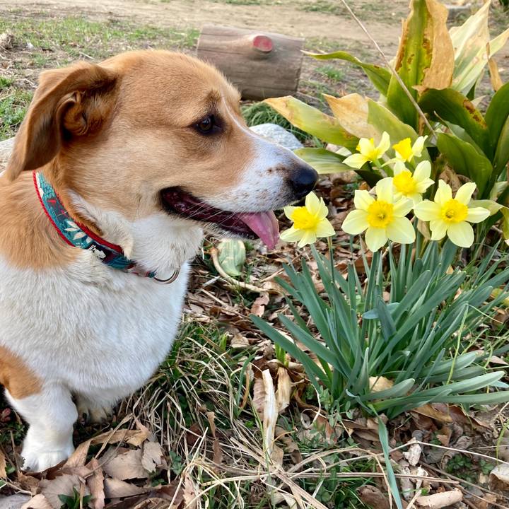 762c3801 1b8b 4355 8fb1 2d8134f62444 1647480014185