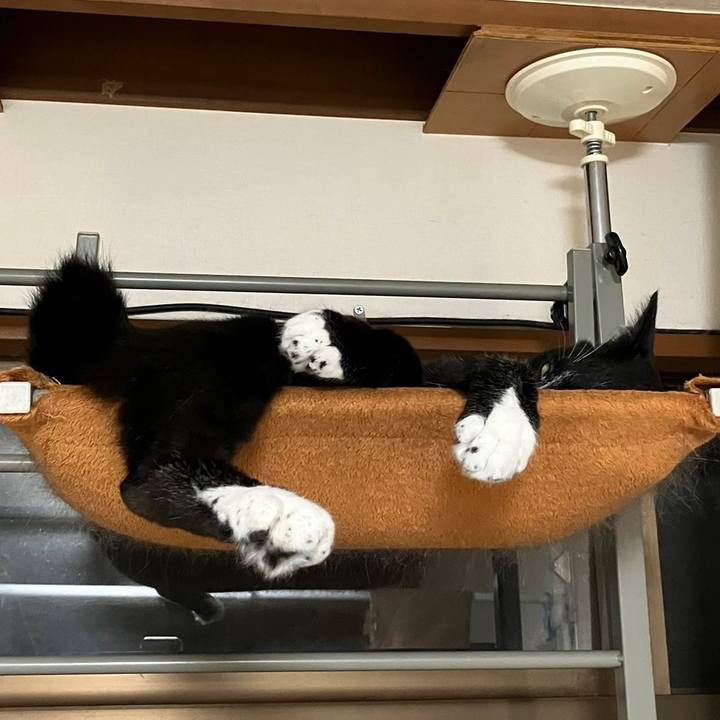 762c443b a4b0 4c6f 868b 95aaa3236cec 1692847845151