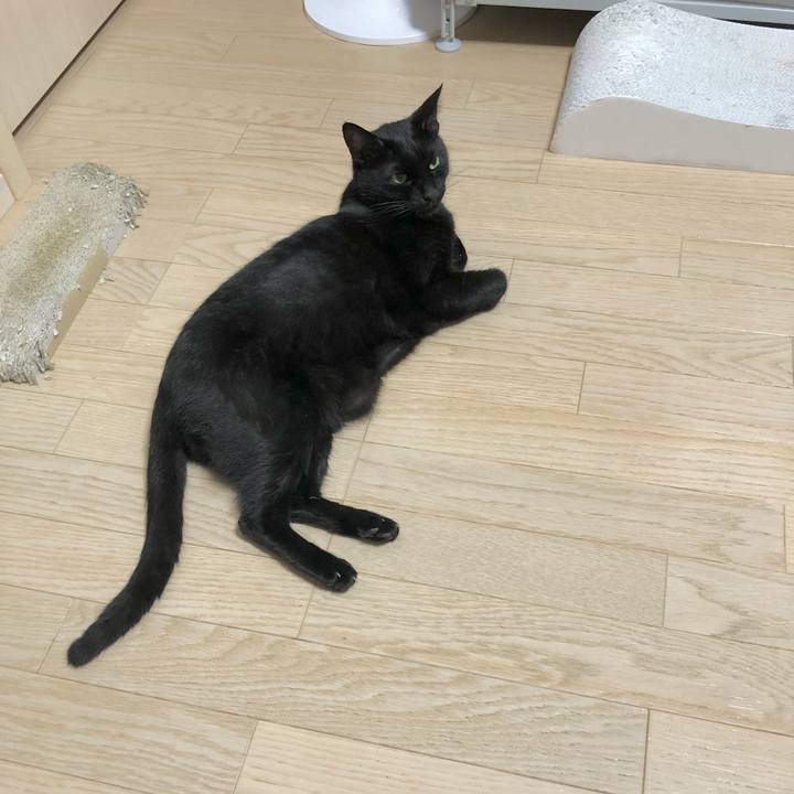 762c79f1 5c77 4a48 9f03 c91dd3afc78a 1634304452544