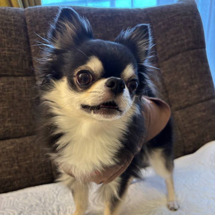 762c7d27 e6c2 4cdd af57 9d98a440676d 1761410202942