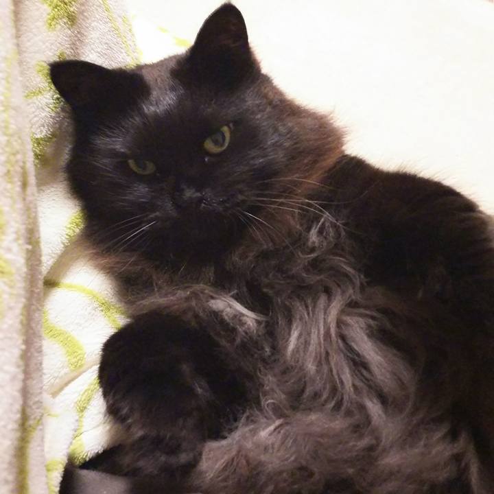 762c8bda 42d6 43bf 92c8 7ca540c80530 1520080270823