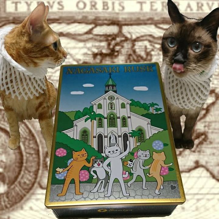 762c91c2 3a84 4641 9da7 05ff95b2d9ba 1533554336723