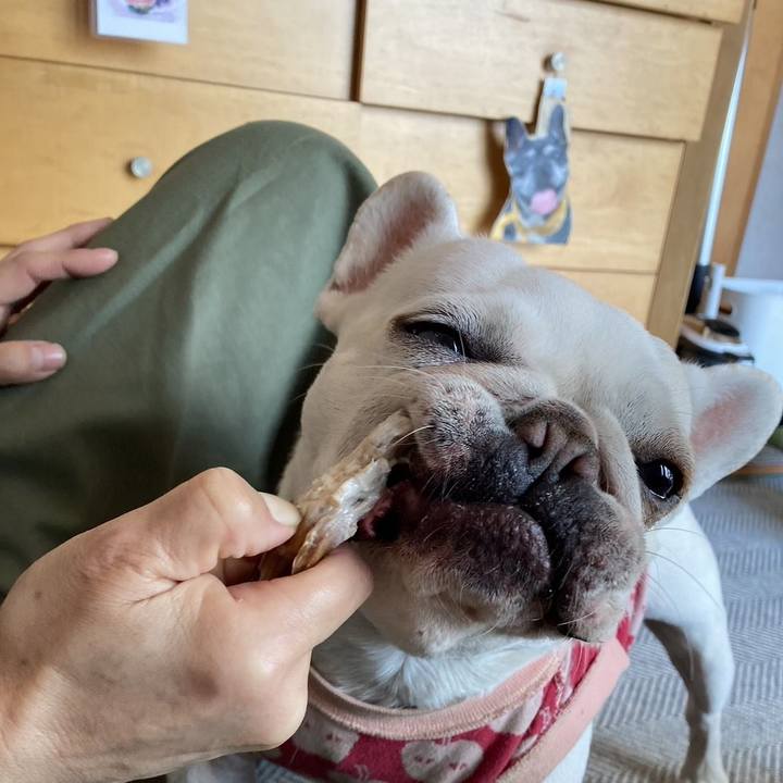 762cb1eb 2776 4d79 a9c2 53736df29152 1709541737186