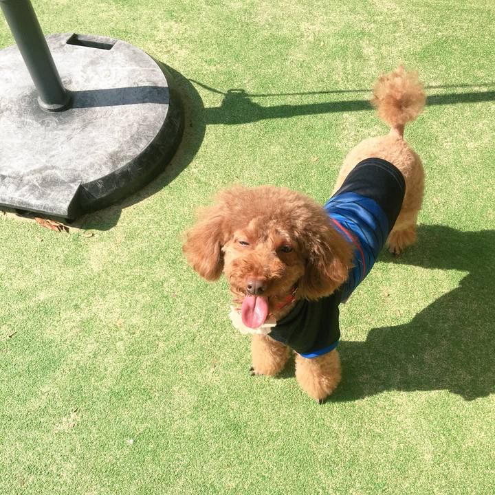 762ce2da f3d5 48df 9621 001d0b593d55 1509961408250